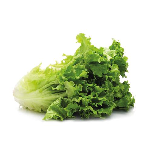 Lettuce | Big Samps Market