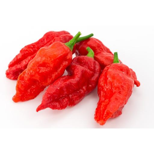 Red Scotch Bonnets | Big Samps Market