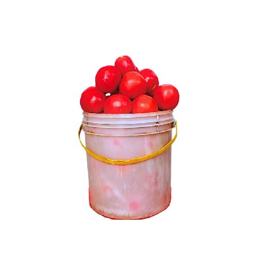 Tomatoes (Bucket) | Big Samps Market