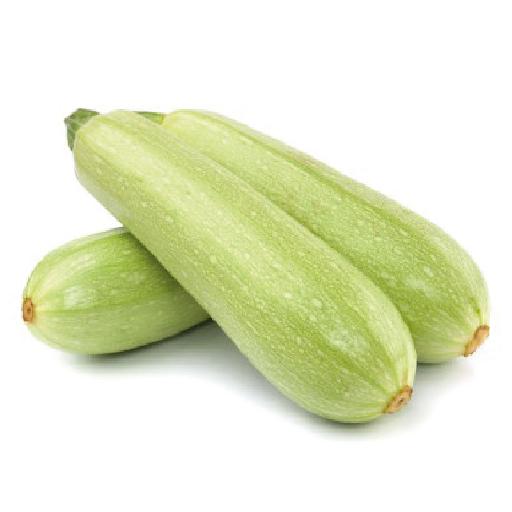 Zucchini | Big Samps Market