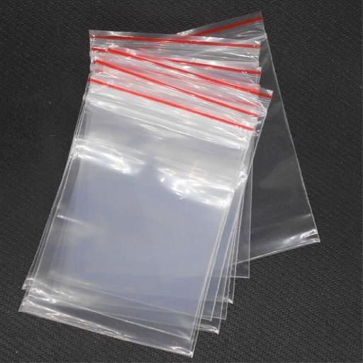 Ziplock Small (2-Cup) Containers | Big Samps Market