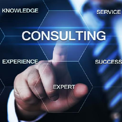 techprinceconsulting - Business Consultancy