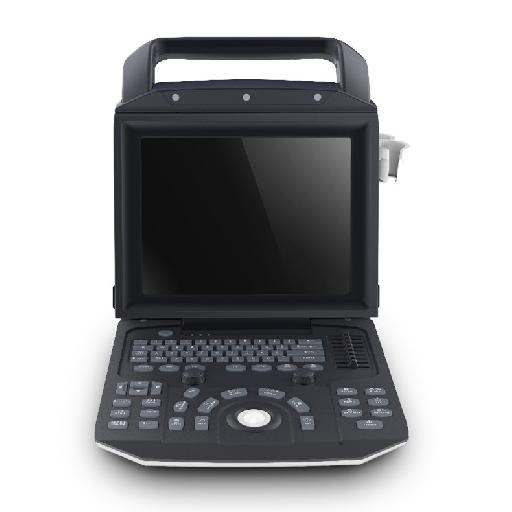 McSarpong – Portable Ultrasound Devices Color Doppler Ultrasonic Diagnostic System