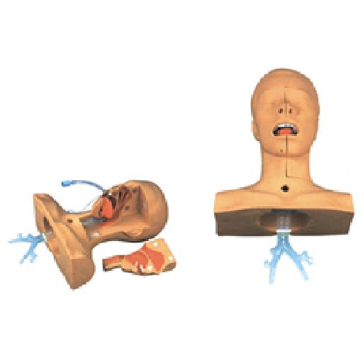 McSarpong – Advanced Suction Training Model AG-SDMF-12 | Realistic Intubation and Sputum Suction Practice for Clinical Education