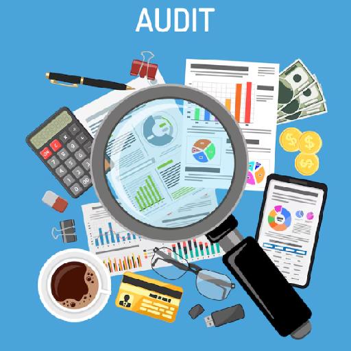 powerintel - Audit & Assurance