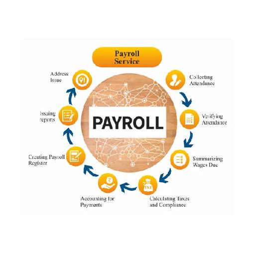 pistisaudit - Payroll Consultancy