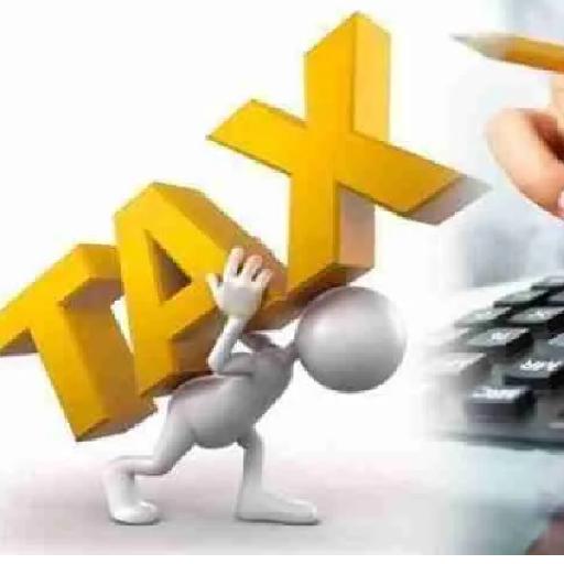pistisaudit - Tax Consultancy