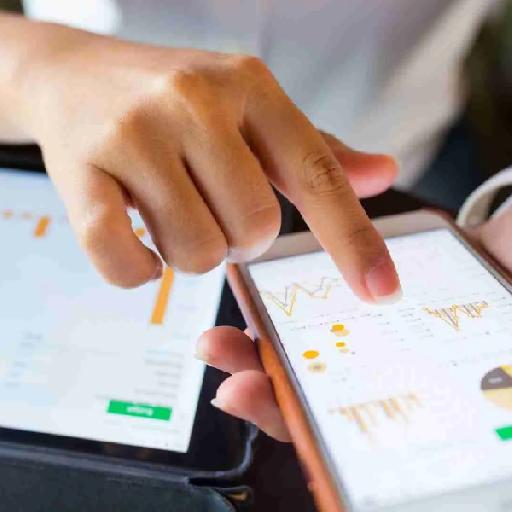 pistisaudit - Accounting Software Consultancy