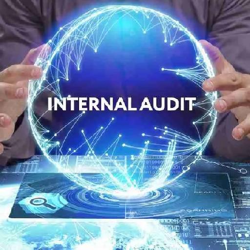 pistisaudit - Internal Audit Services