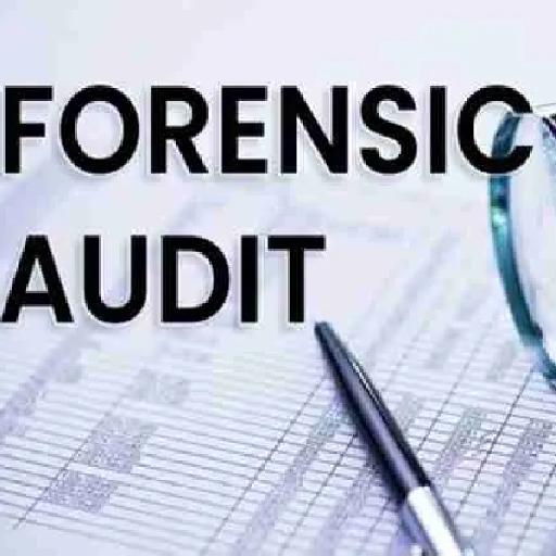 pistisaudit - Forensic Audit Services