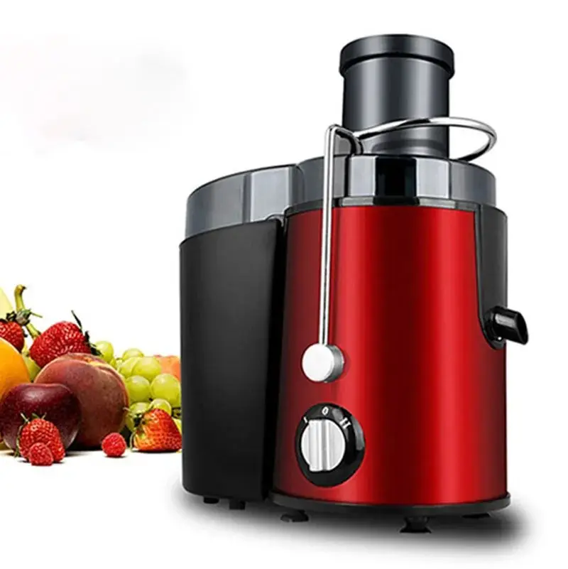 Cold Press Slow Masticating Juicer with 2-Speed Settings