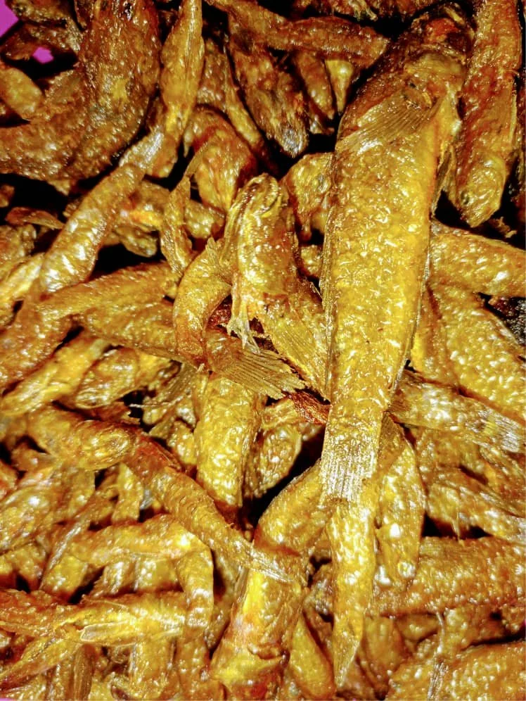 Gbɔvilolo Kalami (Mapo Fish)