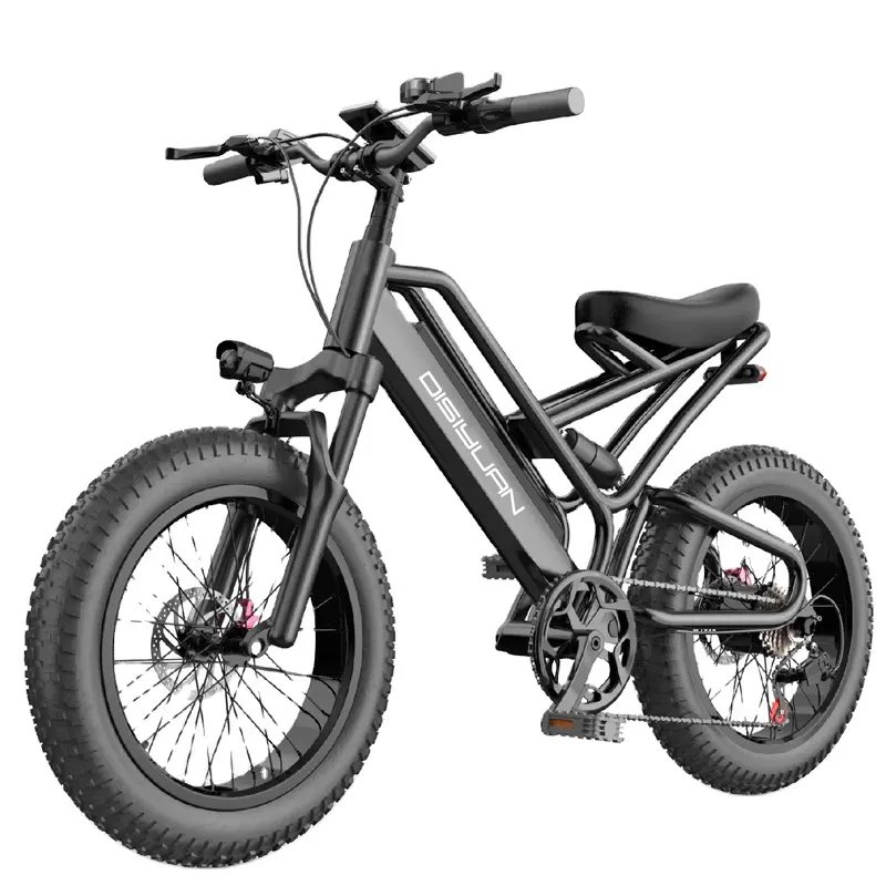 500W Fat Tire Electric Mountain Bike (20" All-Terrain E-Bike)