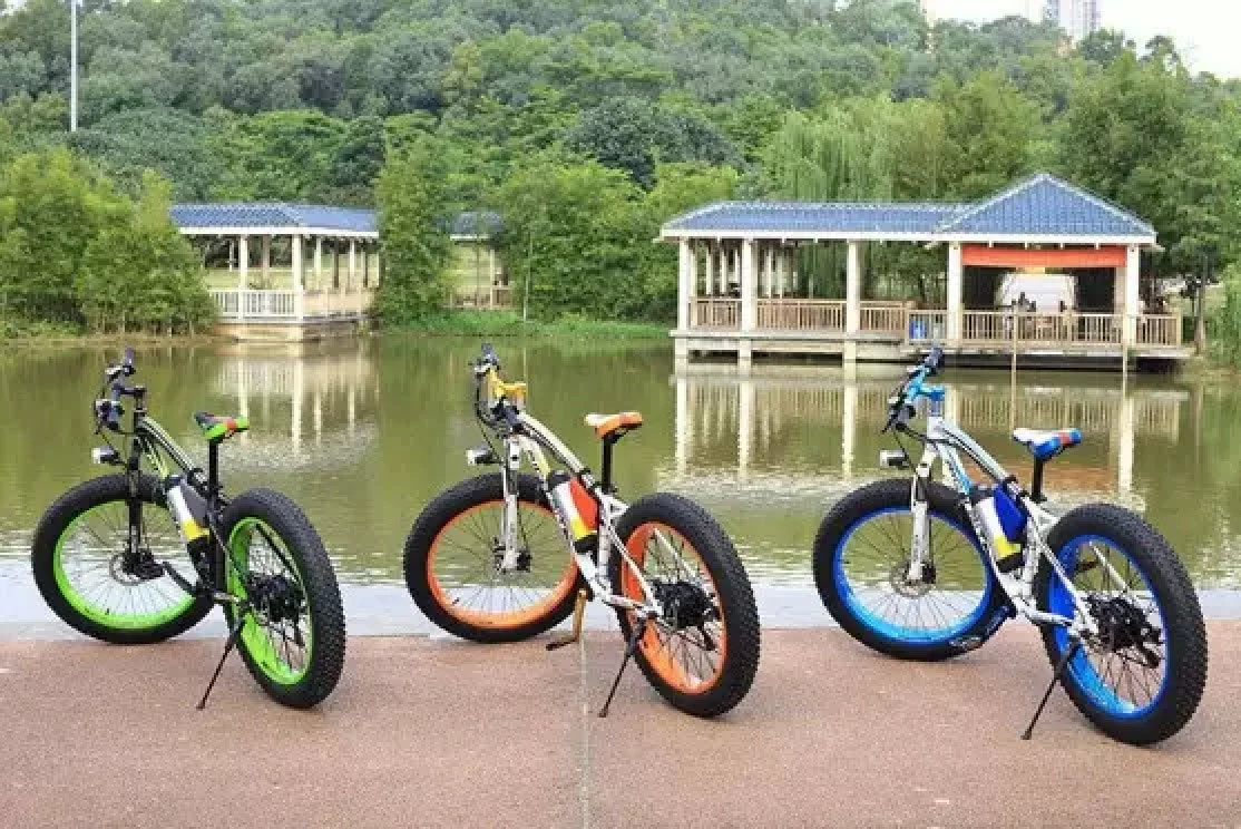 26" Fat Tire Electric Mountain Bike - 350W 36V 10Ah, 21-Speed, Full Suspension