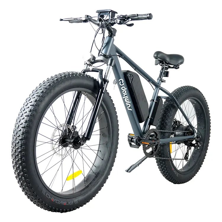 48V 750W Fat Tire Electric Mountain Bike with Rear Motor