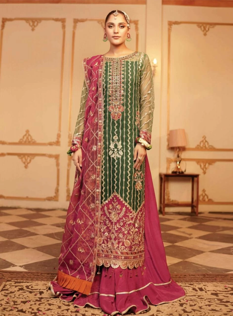 Embroidered Asian Fashion Clothing Set (Organza & Trouser)