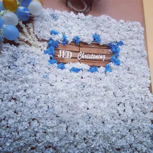Destine - Backdrop Rentals