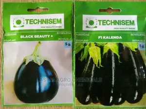 Aubergine (Eggplant) Seeds - Quality Seeds for a Bountiful Harvest