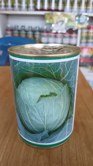 Leader Cross F1 Hybrid Cabbage Seeds - 50g Packet for High Yield