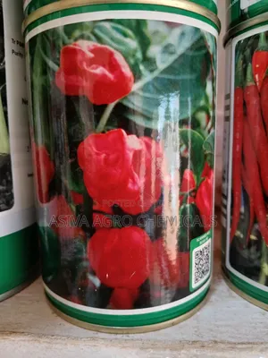 Safi Hot Pepper Seeds - 50g Packet of Reliable Planting Seeds