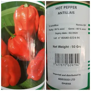 Antillais Habanero Pepper Seeds - 50g Packet of Hot Pepper