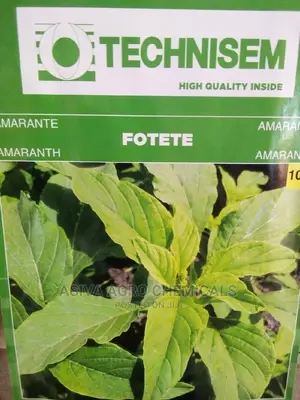 Amaranth (Alefe) Seeds - Nutritious Leafy Green for Home Gardens