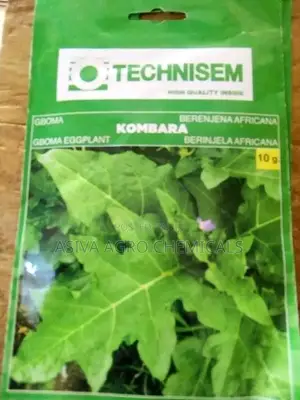 Gboma (African Eggplant) Seeds - Organic Seeds for Traditional Cuisine