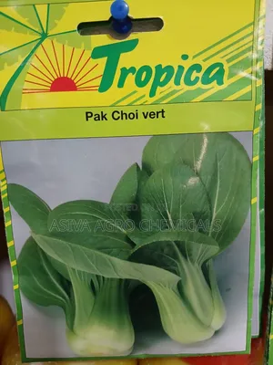 Pak Choi (Bok Choy) Seeds - Asian Green for Stir-fries & Salads