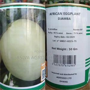 Djamba African Eggplant Seeds - Hybrid Garden Egg Variety