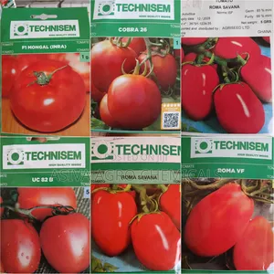 Tomato Seed Assortment - Multiple Varieties for Diverse Harvests