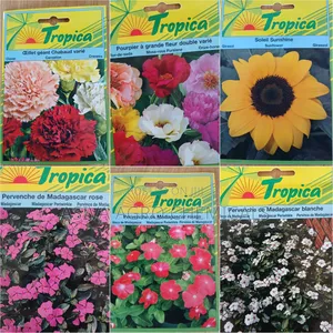 Assorted Flower Seed Collection - Sunflower, Carnation & More