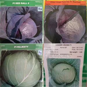 Red & Green Cabbage Seeds - Beginner-Friendly Vegetable Seeds