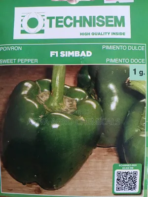 F1 Simbad Bell Pepper Seeds - Hybrid Seeds for Gardens & Farms