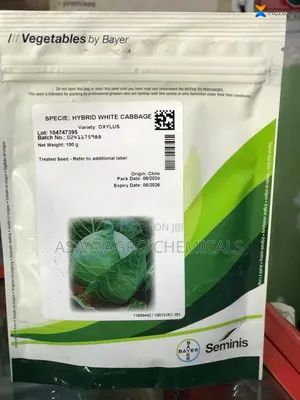 Oxylus Cabbage Seeds - Reliable Variety in 100g Packets