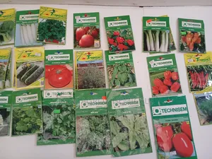 Premium Vegetable Seed Range - Grow Your Own Fresh Produce