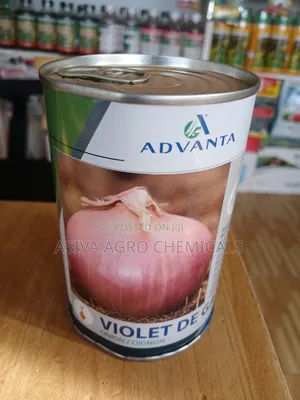 Violet De Galmi Red Onion Seeds - Large Bulb, Tolerant Variety