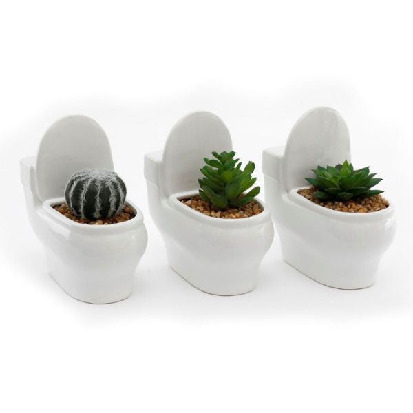 Succulent Toilet Pot White - Ceramic, Novelty, Drainage Hole
