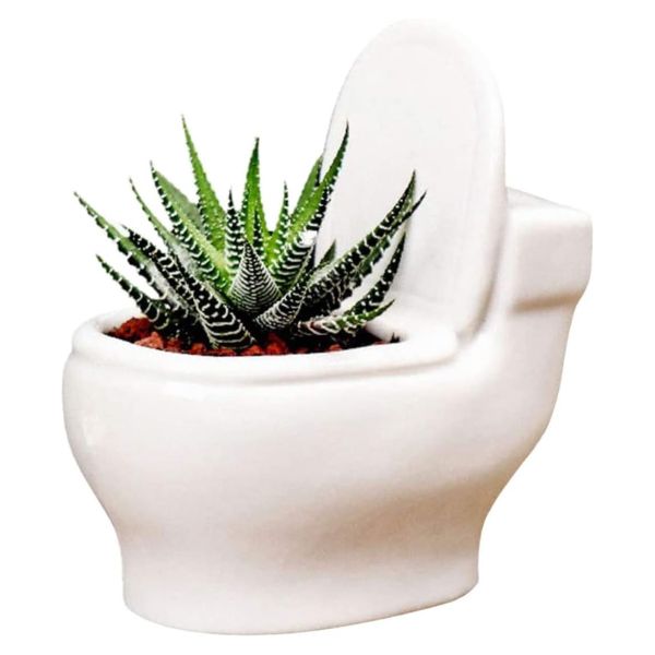 Small Succulents Toilet Pot White - Mini, Ceramic, Drainage Holes
