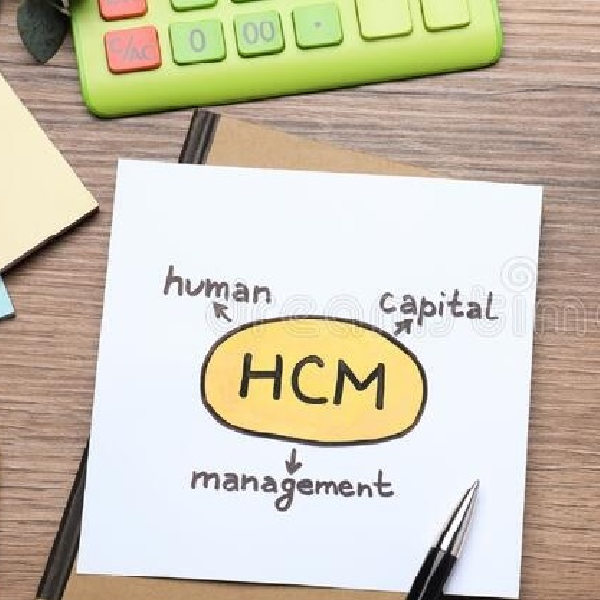 one-eyeghana Human Capital Management Consultancy Services