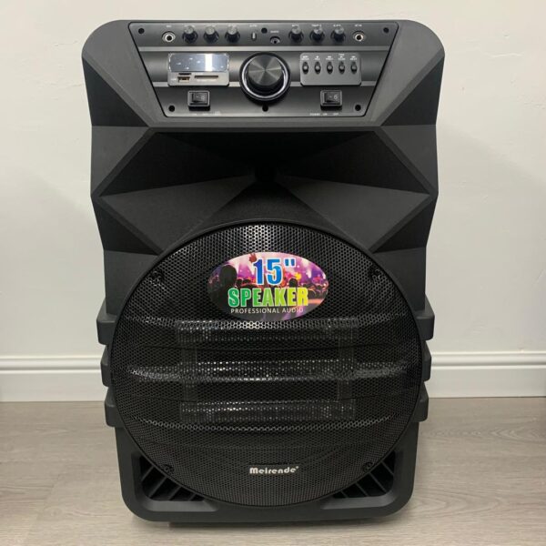 Gold Star 15" 800W High-Power PA Speaker with Karaoke & Wireless Mics