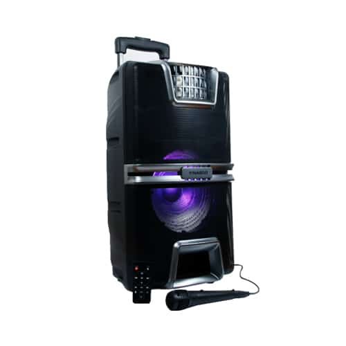 Nasco 25W Bluetooth Karaoke Speaker - Party Sound System with Lights