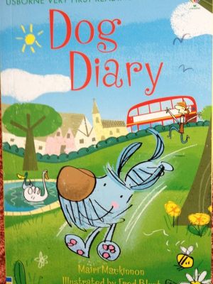 Usborne Very First Reading Dog Diary – Pet Adventure for Ghanaian KG