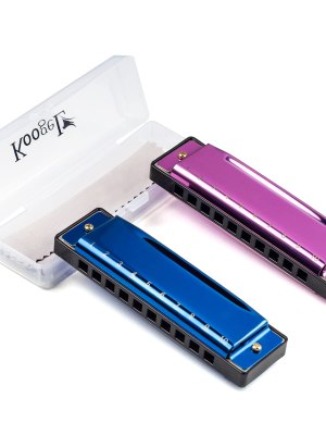 Harmonica Small 10-Hole – Music Instrument for Ghanaian Primary