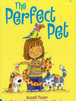 Usborne Very First Reading The Perfect Pet – Animal Search for Ghanaian KG