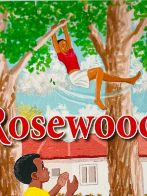 Rosewood – Environmental Story for Ghanaian JHS