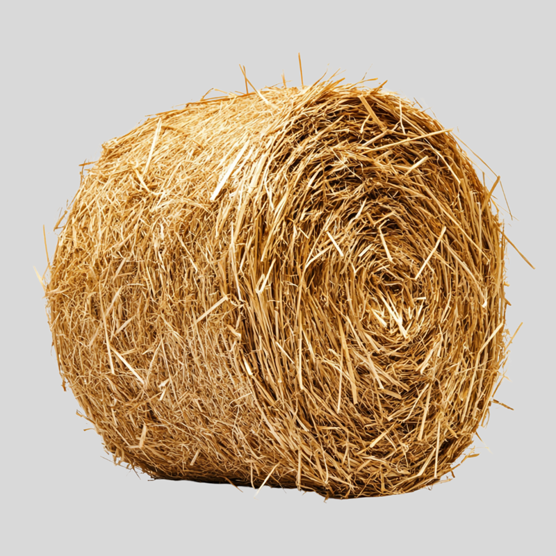 Semanhyia Grass Hay – Premium Livestock Feed (High Protein Forage)