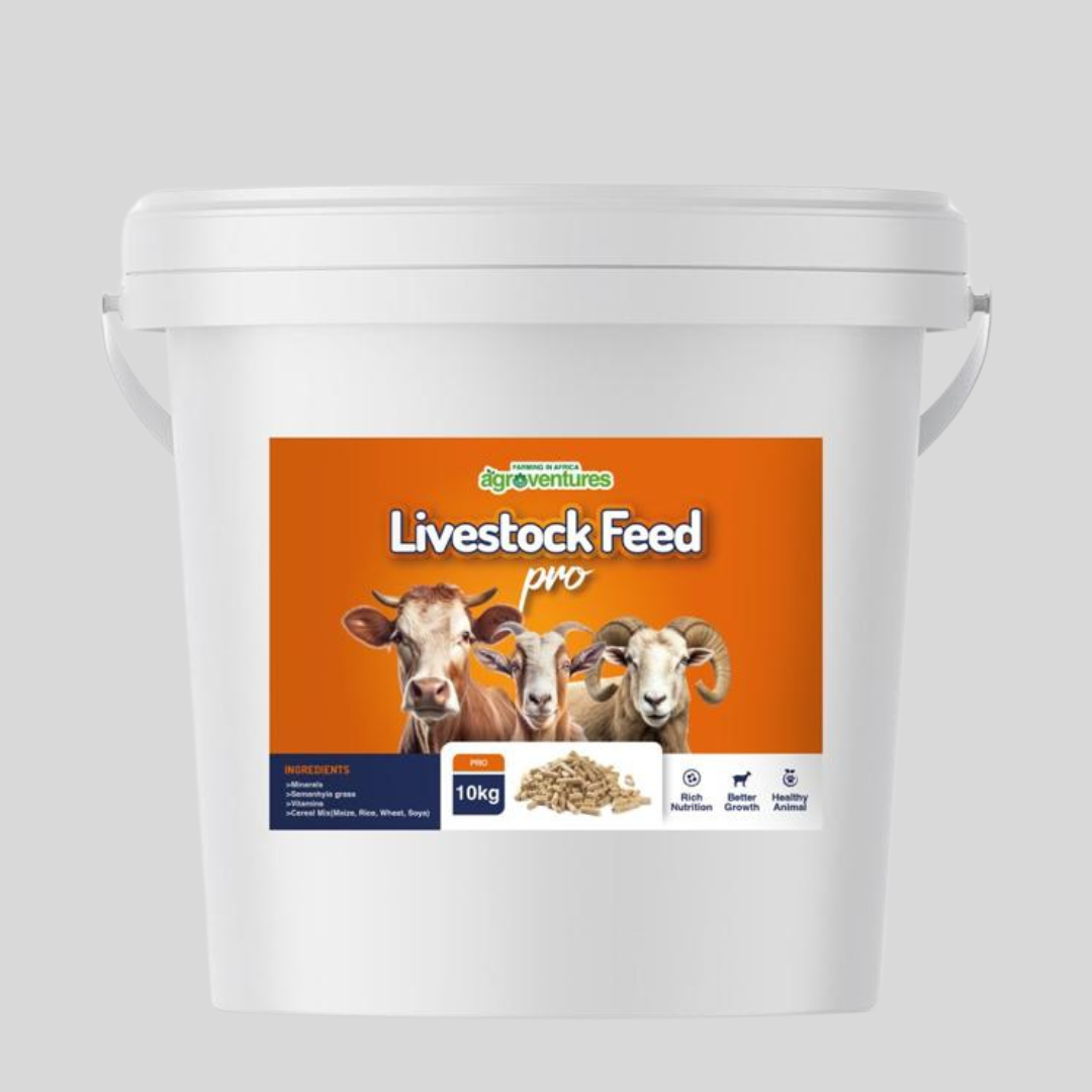 FIA Livestock Feed – Balanced Nutrition for Healthy & Productive Livestock