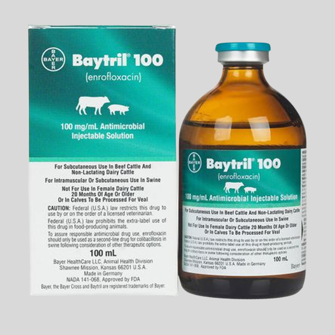 Baytril 100 Injection – Broad-Spectrum Antibiotic for Livestock (100ml)