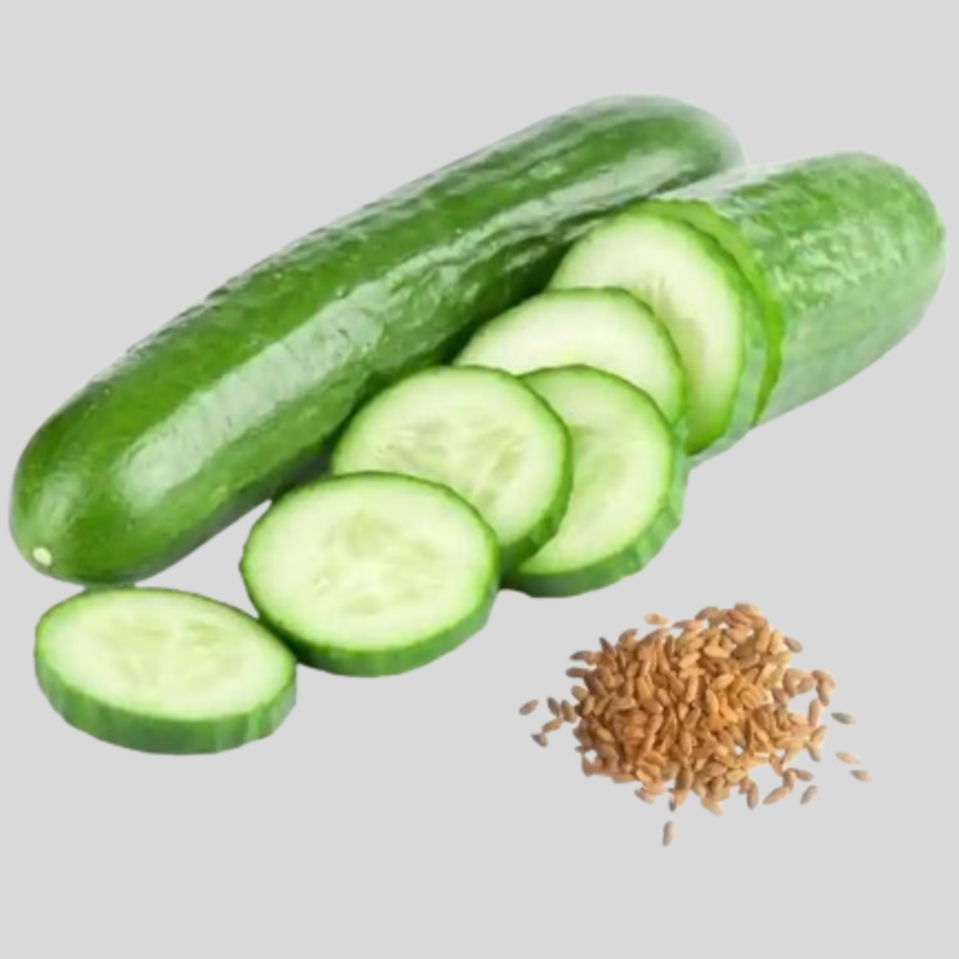Cucumber Seeds for Planting in Ghana – Healthy & High-Yield Vegetable Seeds