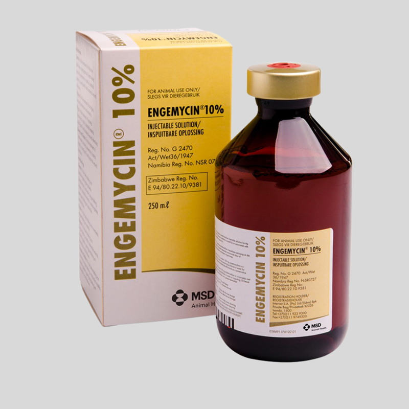 Engemycin 10% Injectable – Broad-Spectrum Antibiotic for Livestock & Pets
